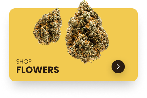 Shop Flowers