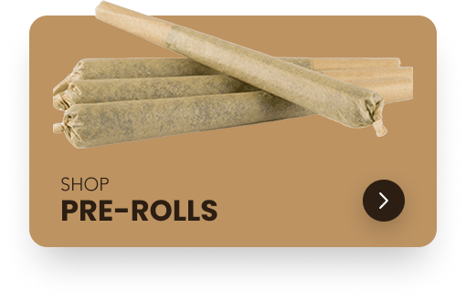 Shop Pre-Rolls