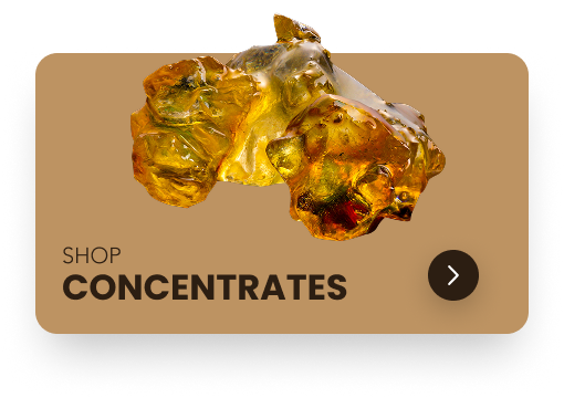 Shop Concentrates