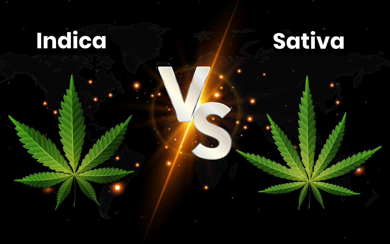 Blog Banner Indica Vs Sativa Which Cannabis Flower Is Right For Your Lifestyle