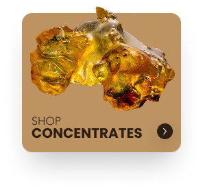 Shop Concentrates