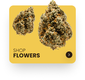 Shop Flowers
