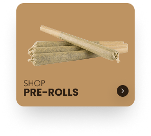 Shop Pre-Rolls