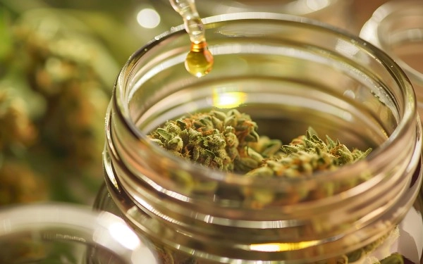 Noire Dispensary Blog Understanding How Long Cannabis Effects And Residues Last 1 1