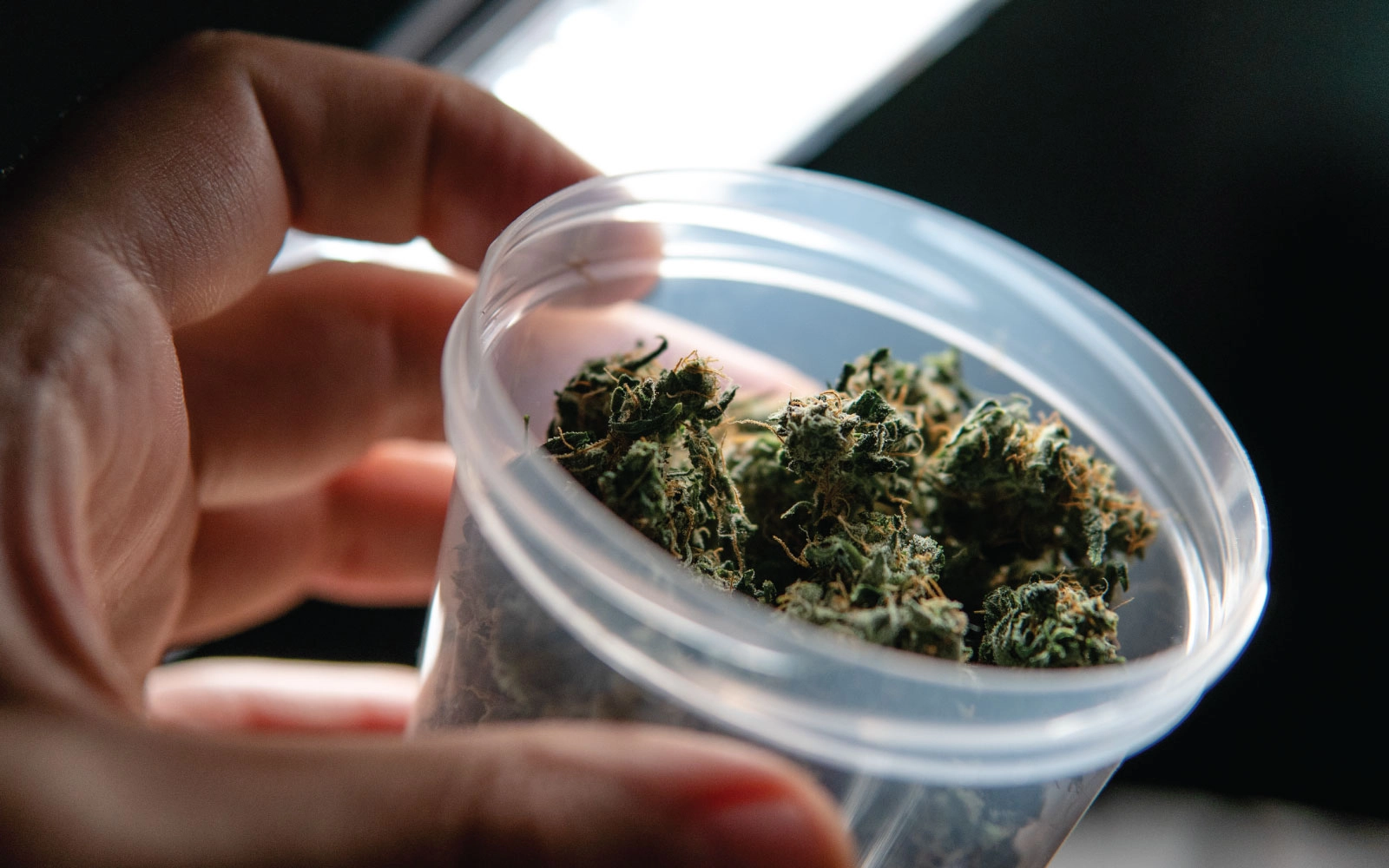 Noire Dispensary Blog Can You Keep Weed In The Fridge Where To Put Cannabis When Its Hot Out 1 1
