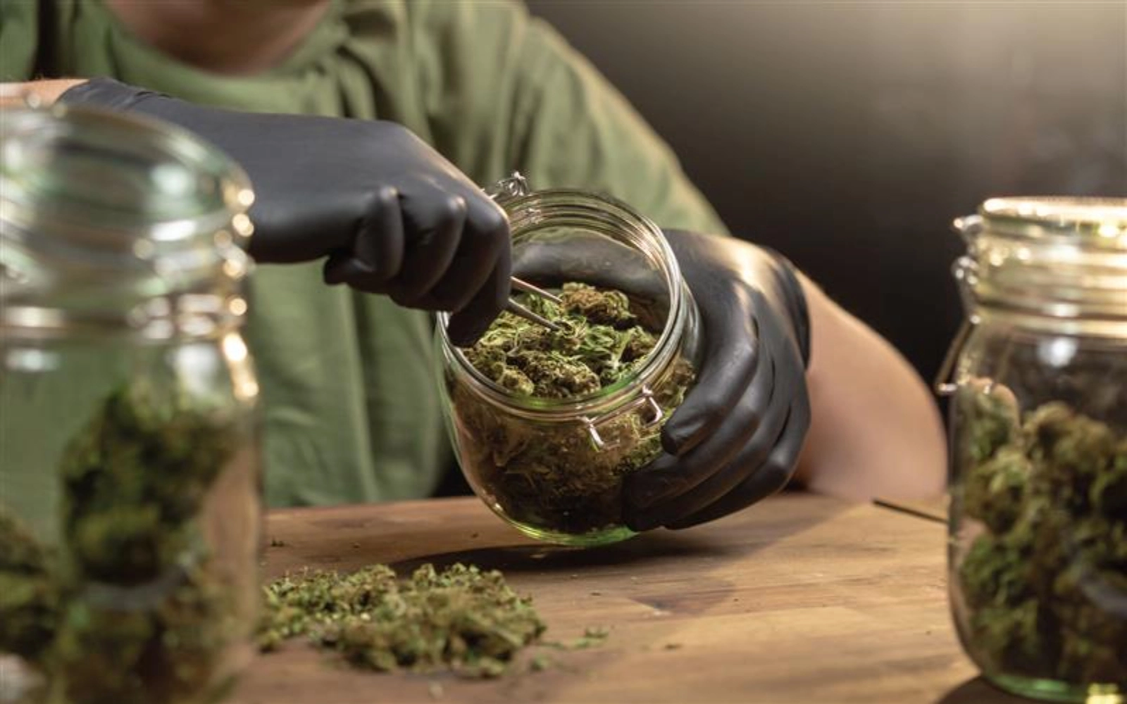 Noire Dispensary Blog Cannabinoids And Health Potential Benefits For Pain Sleep And Anxiety 1 1 1