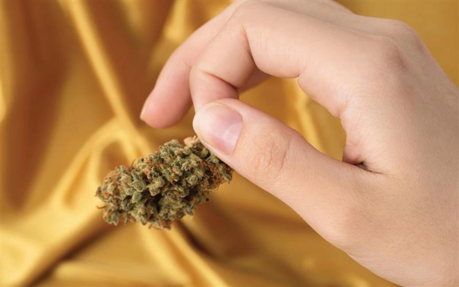 Noire Dispensary Blog Cannabinoids And Health Potential Benefits For Pain Sleep And Anxiety 1 1