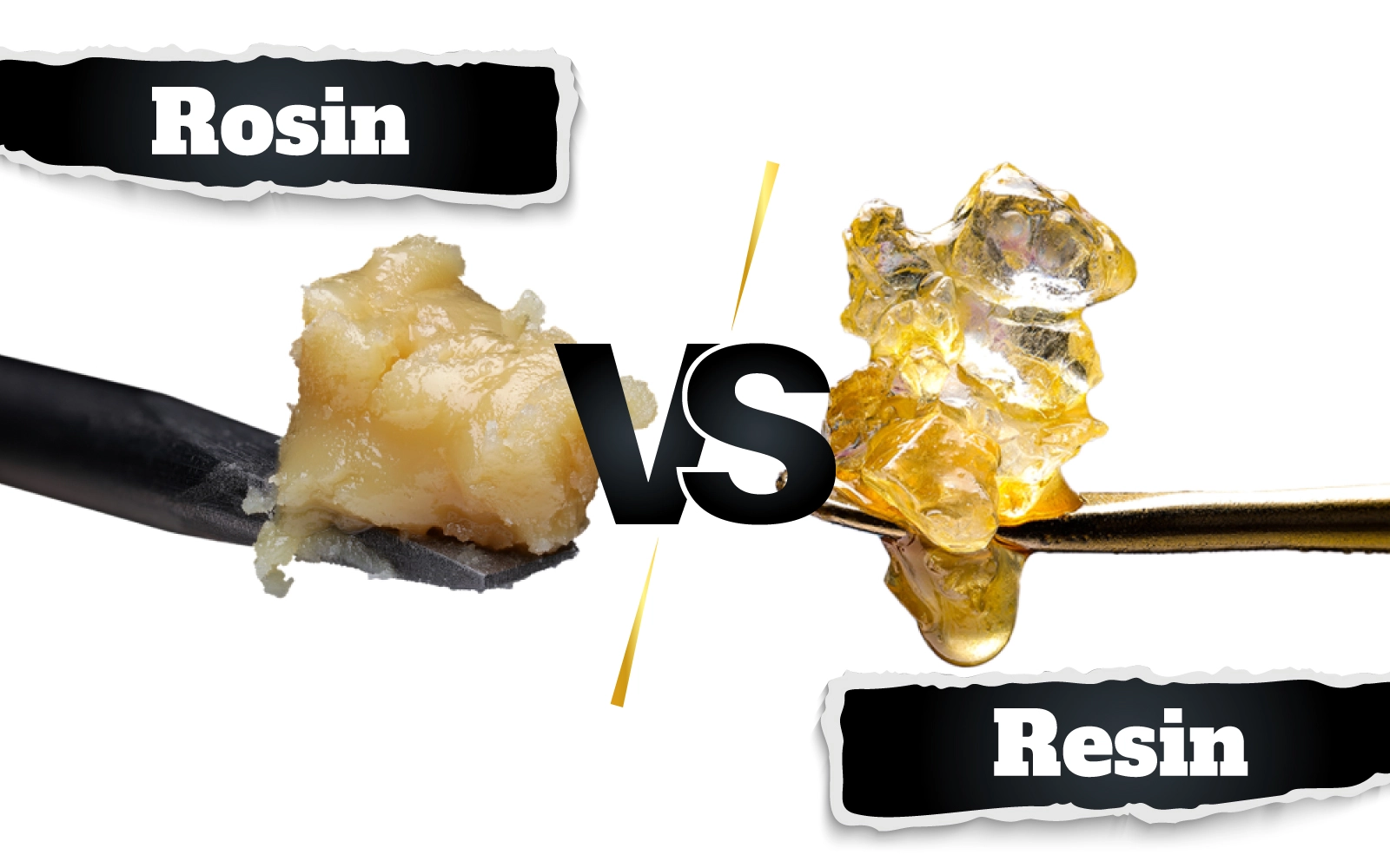 Noire Dispensary Blog Rosin Vs Resin Which Cannabis Concentrate Is Right For You 1 1