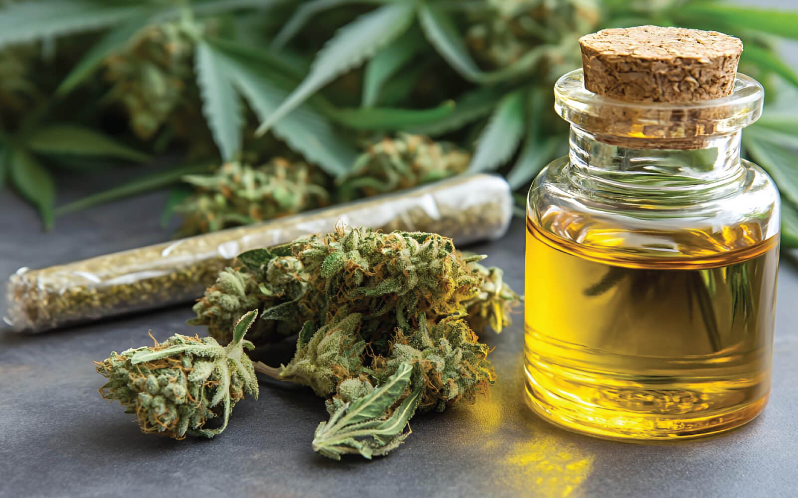 The Role Of Cannabis In Pain Management What You Need To Know 1